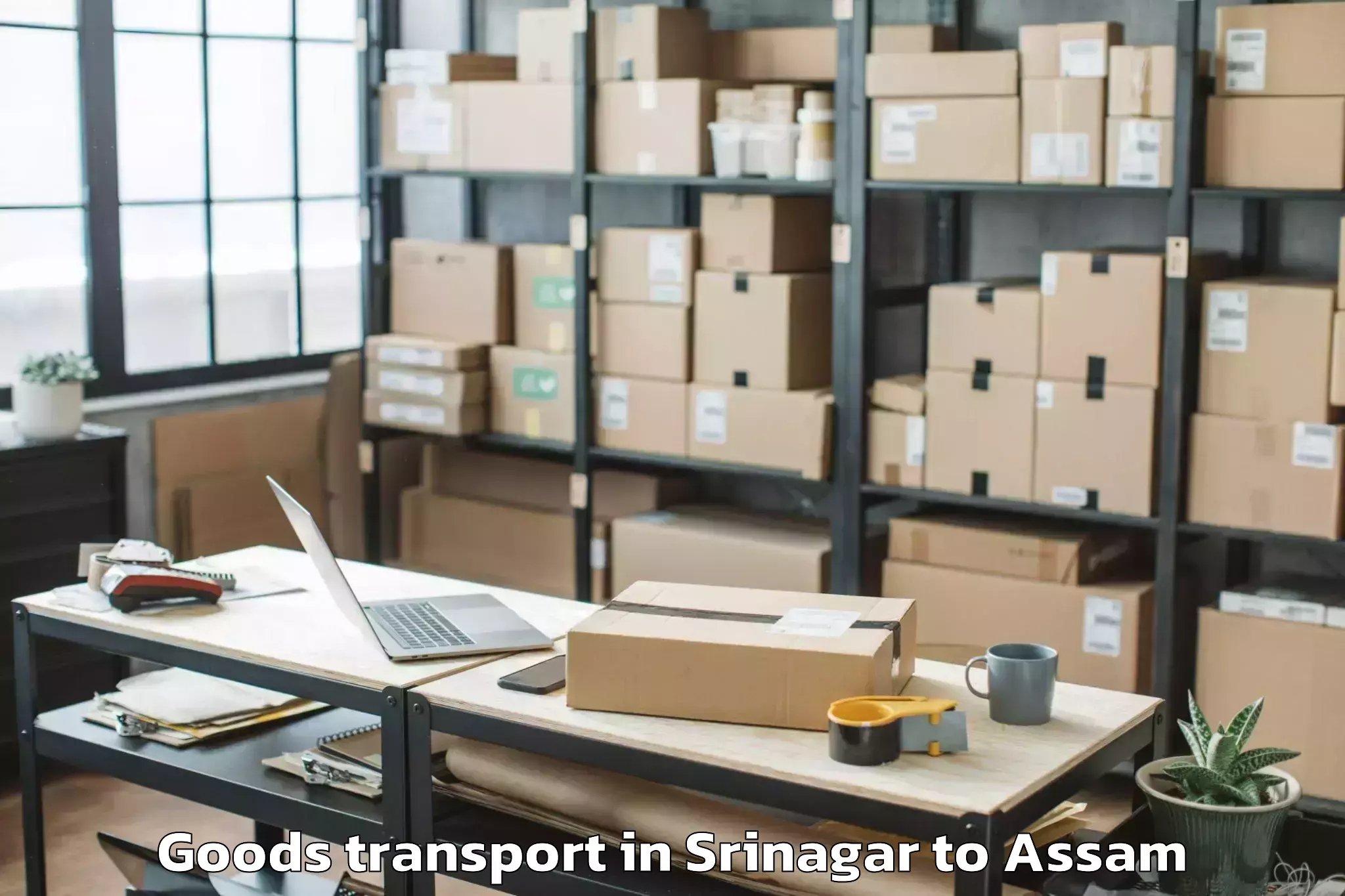 Leading Srinagar to Noonmati Goods Transport Provider